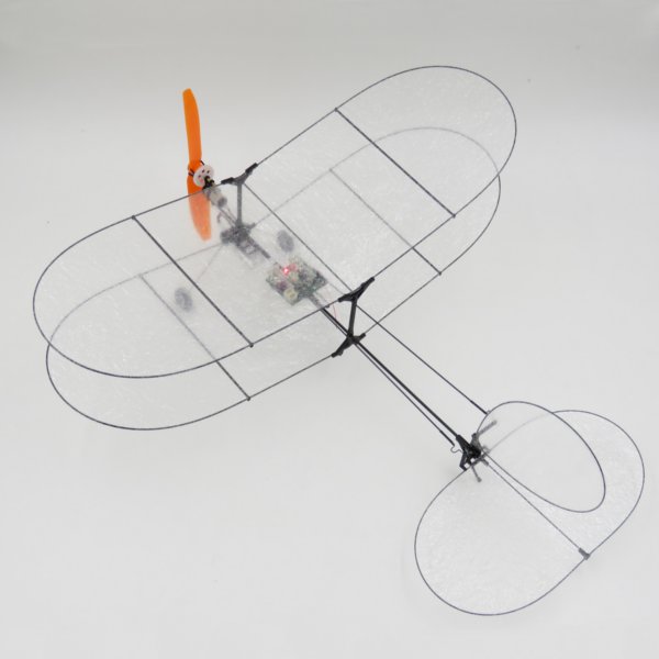 RC-Flugzeug-TY-Model-Black-Flyer-V2-mit-Carbon-Film-und-Antriebssystem-1074512-3